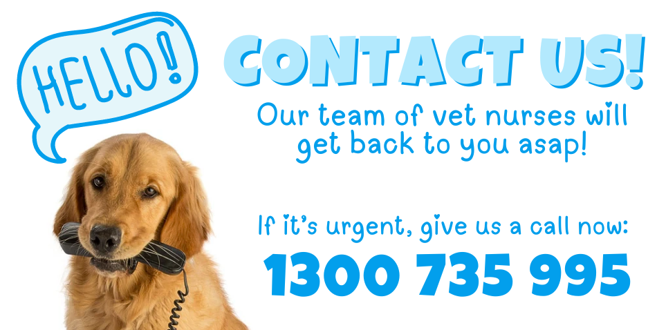 Contact Us The Vet Shed Online Pet Supplies Store